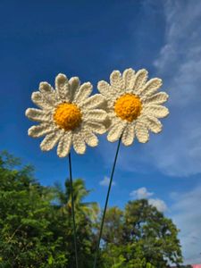 Handmade Crochet daisy