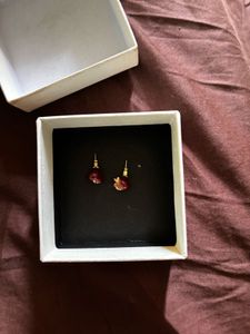 Beautiful pomegranate earrings imported