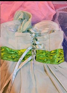 Beautiful Green Ethnic Gown