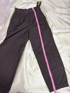 Brown Pleated Trousers
