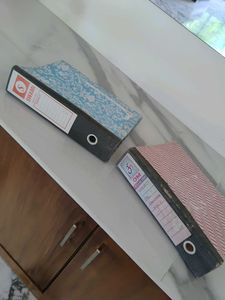 Decorative File Folders (Set of 2)
