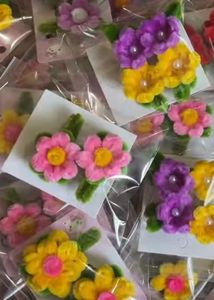 Brand New Hair Clips