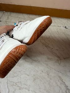 Original Puma Tenaz Indoor Sports/Training Shoes