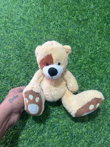 Cute Teddy Bear Plush