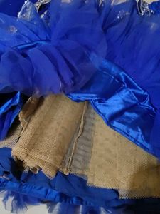 Silver Zarkan Work Lehenga Choli Fishcut Type