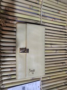 Baggit Wallet