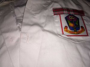 Classic White Shirt school dress