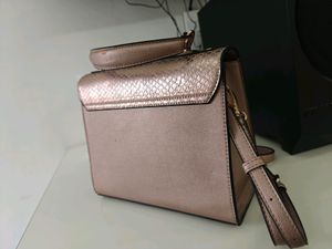 Dune London Metallic Nude Bag