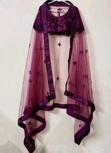 Exquisite Sequin Lehenga Choli Set