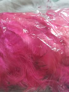 Feathers For Art