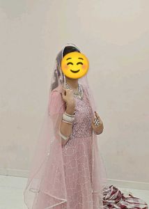 Pink Embellished Gown