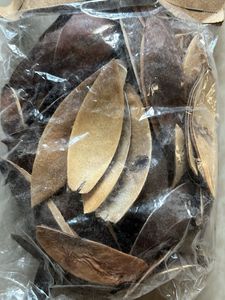 Potpourri Decorative Pieces dry