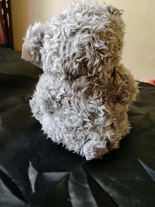 Teddy For Lover's