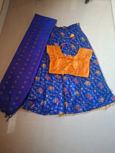 Blue Elephant Print Lehenga Choli