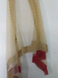 Pakistani Suit