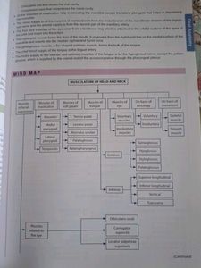 Textbook of Oral Anatomy, Histology, Physiology an