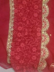 reception saree