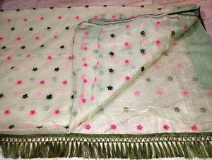 Light Green Saree