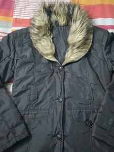 Winter Wear Jacket
