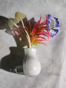Chinese Night Bulb...