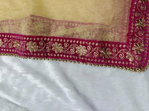 Elegant Pink Border Dupatta