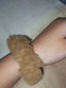 Golden Scrunchy Combo