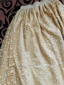 Cream Lace Flared Skirt with White Border – Elegan
