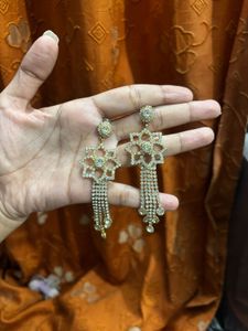 Sparkling Dangle Earrings