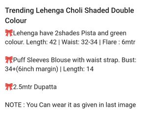 Elegant Light Green lehenga choli