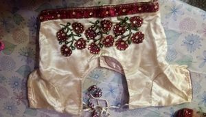 Embroidered Net Saree (ready to wear)