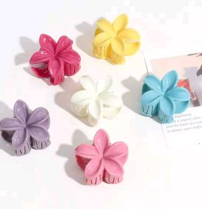 (18) Mini Claw Clips Set 🎀