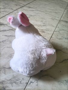 White  Rabbit Soft Toy