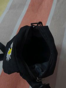 Aesthetic Sling Bag