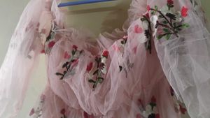 Sheer Pink Embroidered Ruffle Top