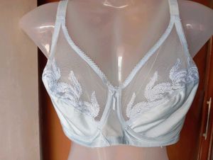 Ethereal Blue Embroidered Sheer Bra