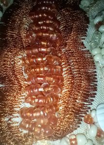 Handmade Waist Belt