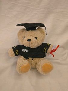 Graduation Teddy Bear Toy