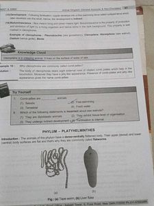 NEET &amp; AIIMS Zoology Study Package