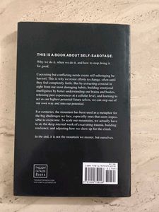 The Mountain Is You Book