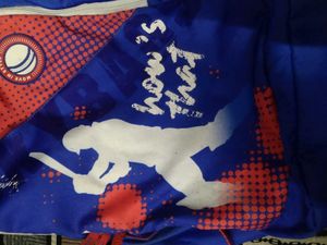 Original Skybags Cricket Themed Blue Backpack