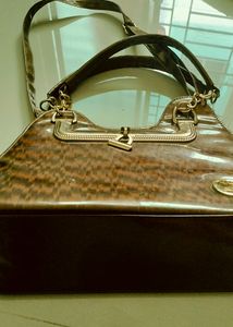Brown &amp; Gold Tote Bag