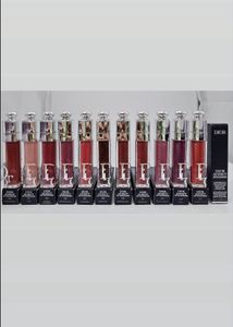 Dior Addict Lip Maximizer