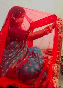 Red Embroidered Net Dupatta