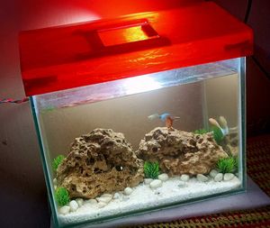 Aquarium