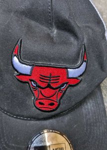 Chicago Bulls Trucker Hat.