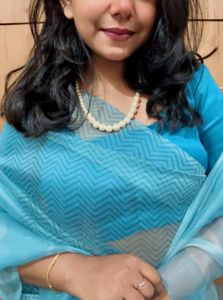 Organza Saree