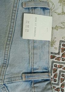 ZARA Brand New Shorts