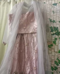 Fishcut  Lehenga Choli