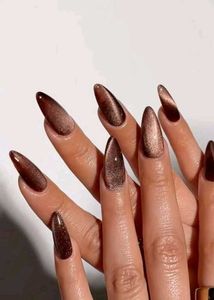 mocha velvet cateye nails