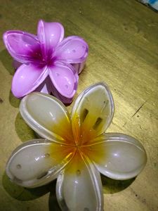 Flower Hair Clips - Tropical Style